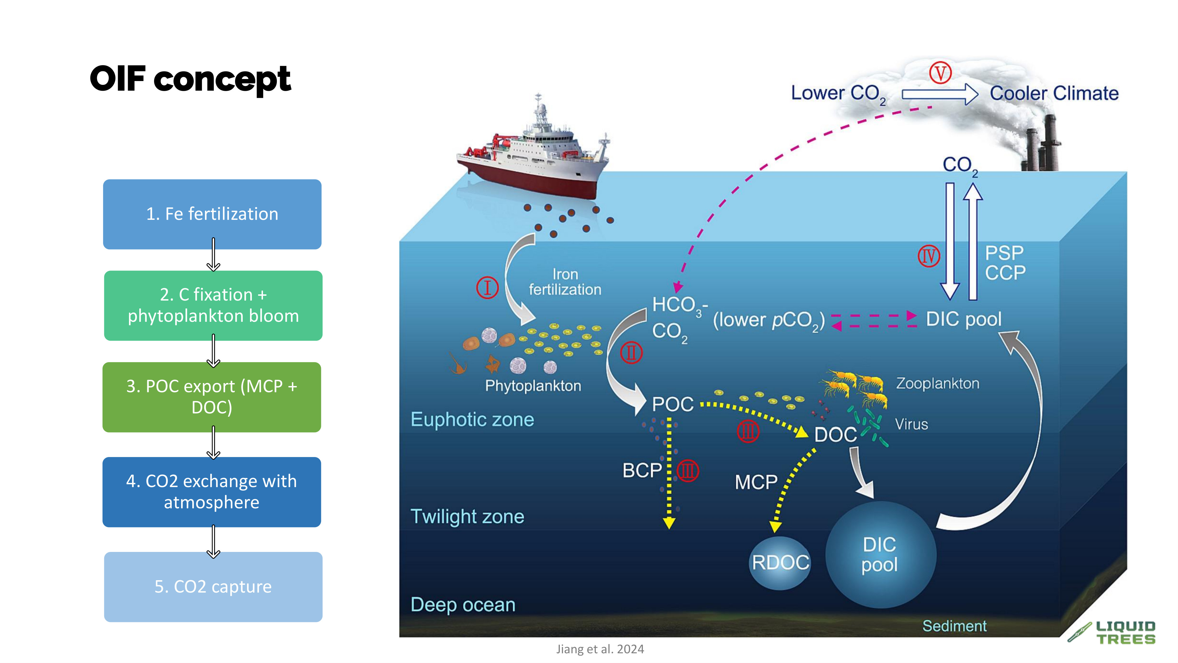Concept diagram illustrating Ocean Iron Fertilization (OIF) stimulating phytoplankton growth